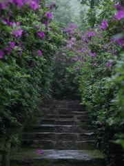 [국뷔/슈짐/랩홉] 아홉꼬리잔혹사 完