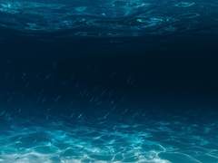 Lisha G. AquinasㅣGryffindorㅣPure-Blood