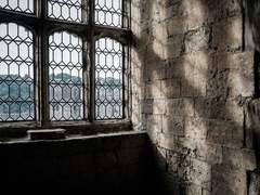 선의는 기억을 치료하지 않는다