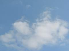 4423 (피곤함, 사진찍기)