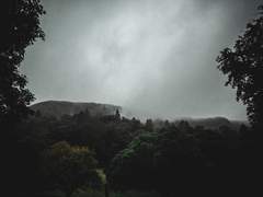 다정이 나를 휘감고 내일로 사라지는 꿈