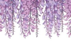 귀멸 렌탄 만화) 등꽃나무 저택