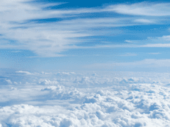 사유는 교통사고였다.