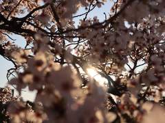 너의 행복은 나의 마지막 남은 부탁이다.