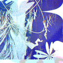 캄파넬라의 호수