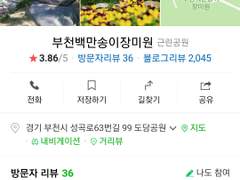 2022. 4. 13. 봄꽃 축제 방문을 5월로 미뤄 두었다.