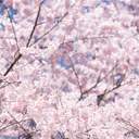 반짝 빛나버린 사랑이래도