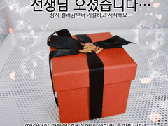 데넥 쉐이커 후기