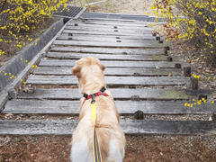 저는 연애 안 해요
