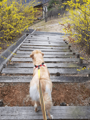 저는 연애 안 해요