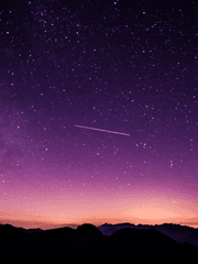 빛은 누구에게로 깃드는가