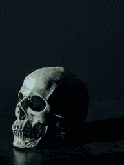 2 𝐖𝐚𝐥𝐭𝐞𝐫