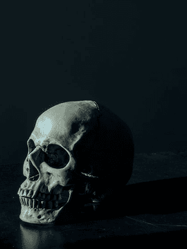 2 𝐖𝐚𝐥𝐭𝐞𝐫