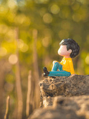 나의 여우 같은 선생님