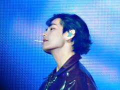 임신한 고양이 보고 싶다 7