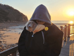 우리 이혼했다가 다시 결혼했어요 instagram 또는 TALK