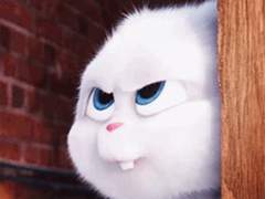 문제적 가이드_22