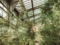 사이퍼즈 '바스티안' 개인봇 모심글