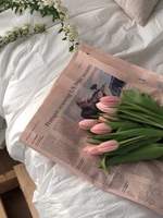 페어리테일 썰 모음