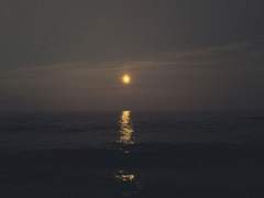 처음으로 우산을 잃어버렸어요