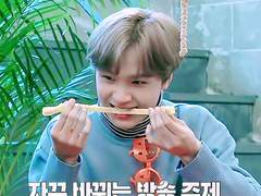 코코팜 KoKoFam TALK 9