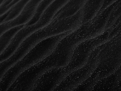 그것이 이치라면