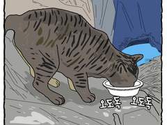 [길냥이 그리기 챌린지] 002 배고픈 고등어 무늬 친구