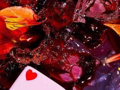 안녕, 나의 우주 上