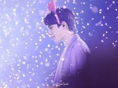 옥잠화(玉簪花) [前] _ 05