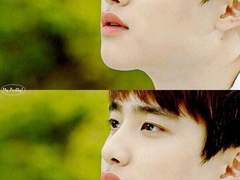 옥잠화(玉簪花) [前] _ 07