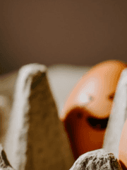 심심할때 쓰는 일기