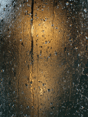 단비를 내려주시옵서서