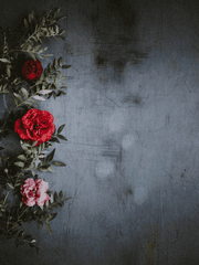 자캐들의 카피페