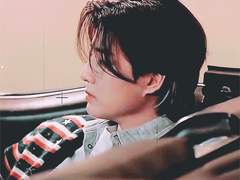 도화(桃花) : Peach Blossom