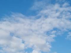 이렇게 만나는 것도 이제 반갑다~