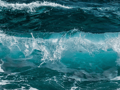 어느 날의 일기