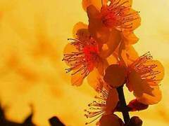 나는 네 울음을 눈앞에서 지켜보았다.