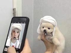 구독자200기념 노딱 글 유료->무료전환