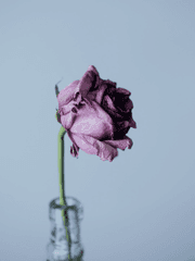 가장 행복했던 시절