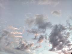 교수님과 나 : 01