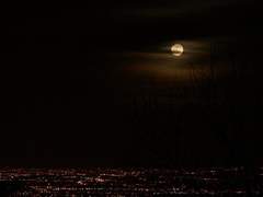 달은 정녕 차가운 존재일까?