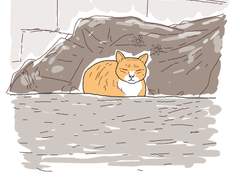 [길냥이 그리기 챌린지] 003 노랭이