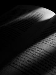 세포신곡 잔혹동화