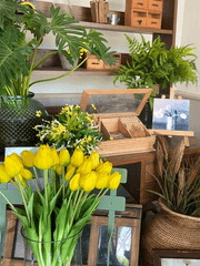 모션그래픽 영상편집