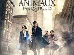 신비한 동물사전