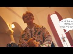 세븐틴 Darl+ing 뮤직비디오 후기