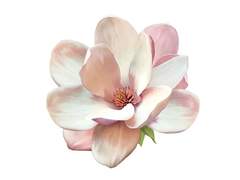 3. 대변인 ‘시로’