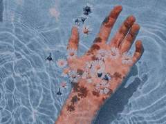 찬란한 탄생이였다