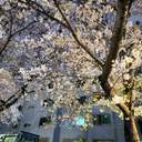 花山(はなやま)