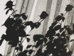 그대로 인해 변한 것